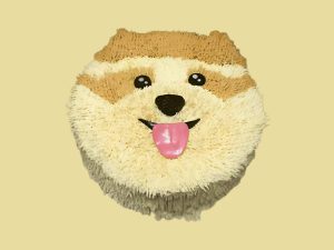 Pomeranian Dog Face Cake