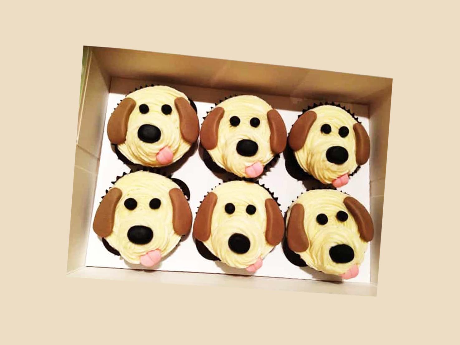A boxed set of six cupcakes decorated with cream and fondant like cute beagle faces with floppy ears and tongues.