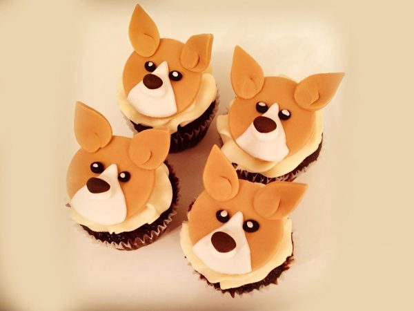 Set of four cupcakes topped with fondant corgi dog faces, displayed in a box.