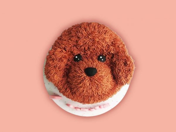 A round cake styled to represent a fluffy brown dog face with detailed fur texture and black eyes on a white base.