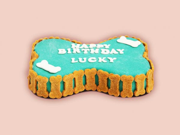 A bone-shaped cake with blue icing, decorated with biscuit for dogs all around.
