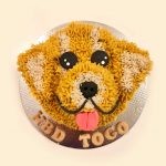 Golden retriever face cake with fluffy yellow and beige textured frosting, tongue out