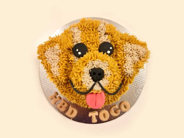 Golden retriever face cake with fluffy yellow and beige textured frosting, tongue out