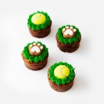 Grassland Games Cupcakes