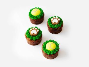 Grassland Games Pupcakes