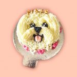 Lhasa Apso Face Cake Design