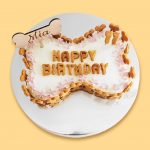 Bone-shaped cake with white frosting, outlined with cream and surrounded by dog biscuits.