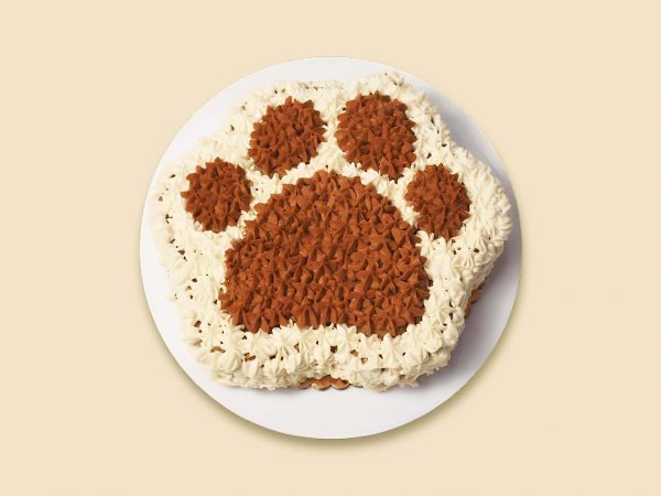 A dog cake designed in a paw shaped cake. With creamy frosting and dog friendly ingredients