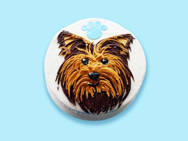 Yorkshire face dog cake with realistic brown and black and blue paw print topper.