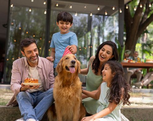 How to Celebrate International Dog Day in India