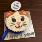 Cat-face shaped birthday cake with blue ribbon