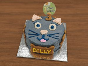 Cat Joy Celebration Cake