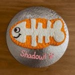 Fishbone-shaped cat cake with orange and white icing