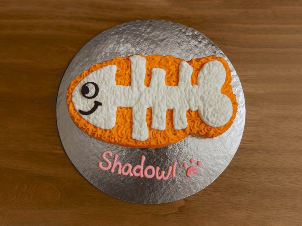 Fishbone-shaped cat cake with orange and white icing