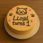 Cat-friendly birthday cake with 'Lloyd turns 1' text and paw decorations