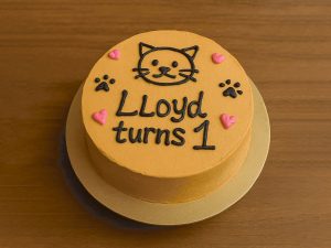 Meowlicious 1st Birthday Cake